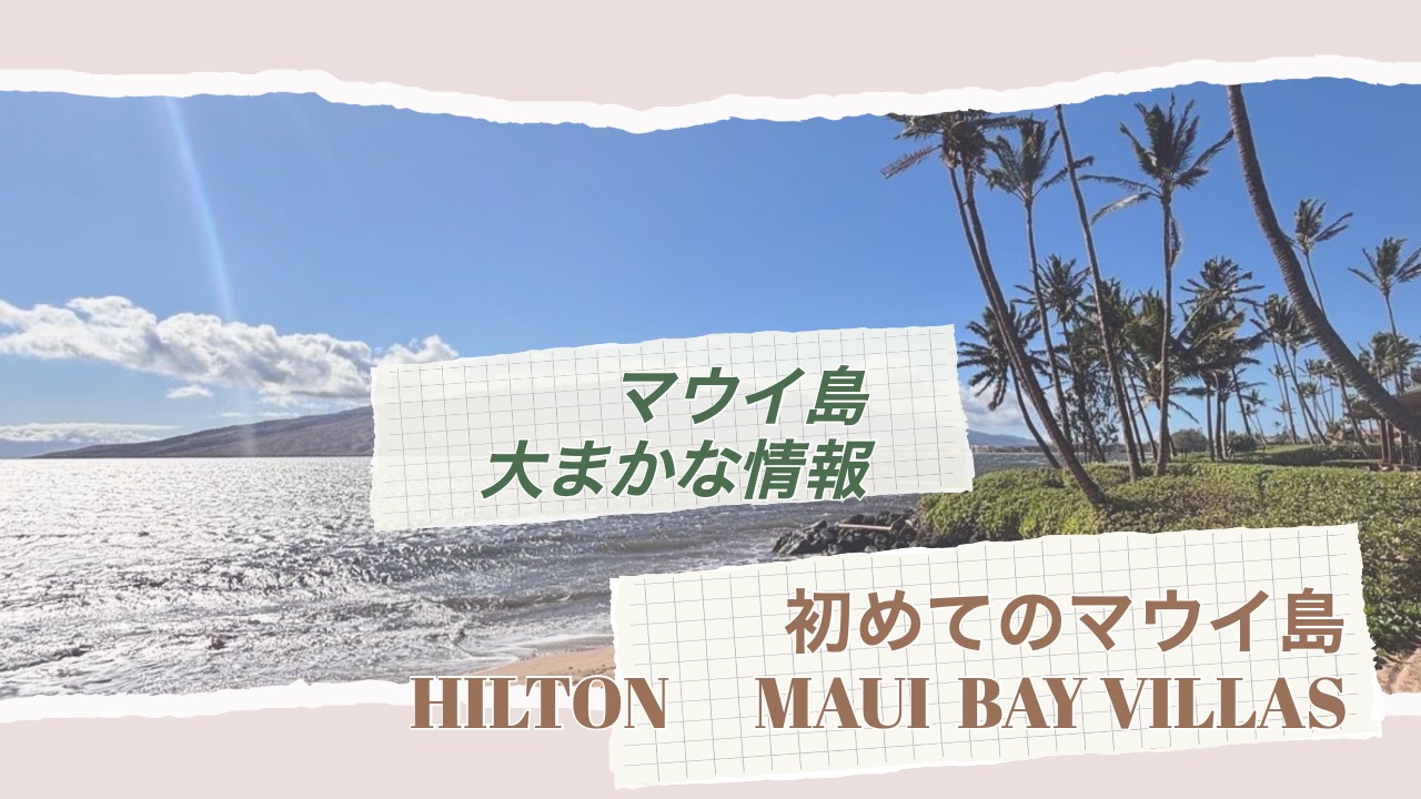 マウイ島情報